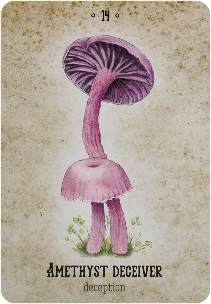 Mushroom Spirit Oracle
