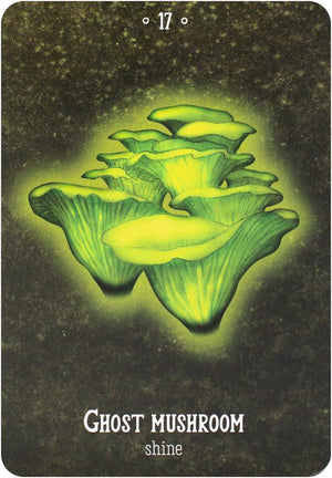 Mushroom Spirit Oracle
