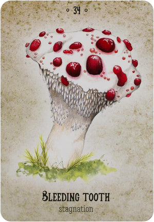 Mushroom Spirit Oracle