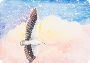 Water Blessings : Affirmation cards