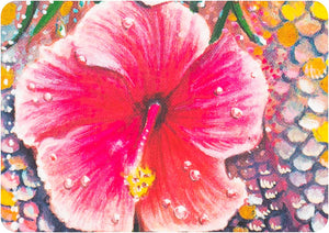 Water Blessings : Affirmation cards