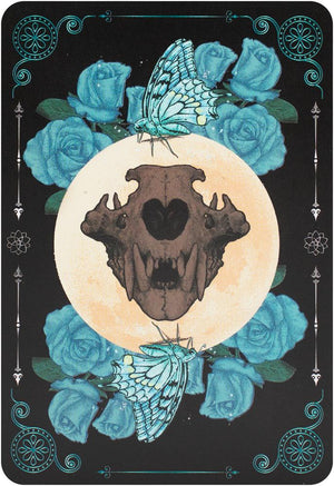 Earth & Bone Oracle