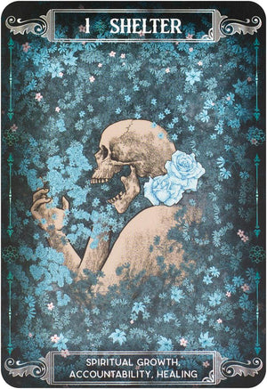 Earth & Bone Oracle