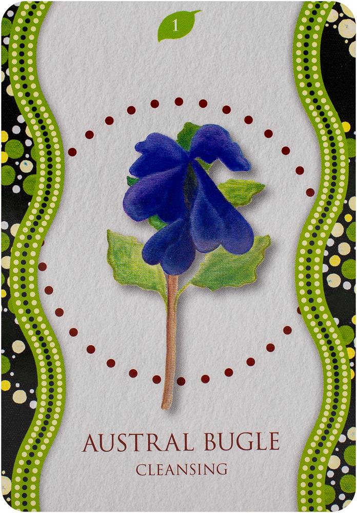 Aboriginal Healing Oracle