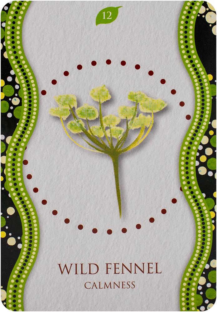 Aboriginal Healing Oracle