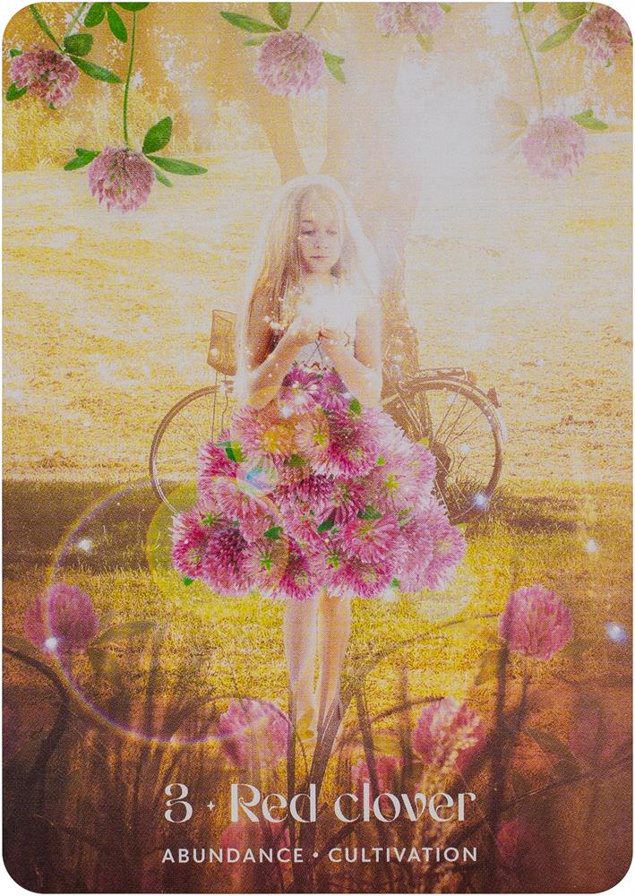 Midnight Sun Oracle