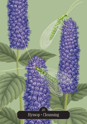Kate Forsyth's Hedgewitch Oracle