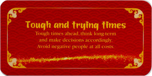 Fortune Cookies : Love, Success, Happiness Cards