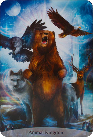 Sacred Power Reading Cards : Transformative Guidance for Your Life Journey