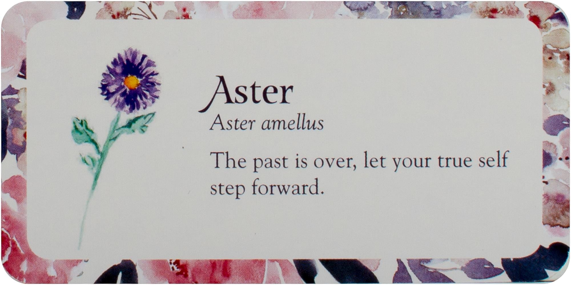 Flower Petals Mini Inspiration Cards : Blossoming Guidance From the Garden
