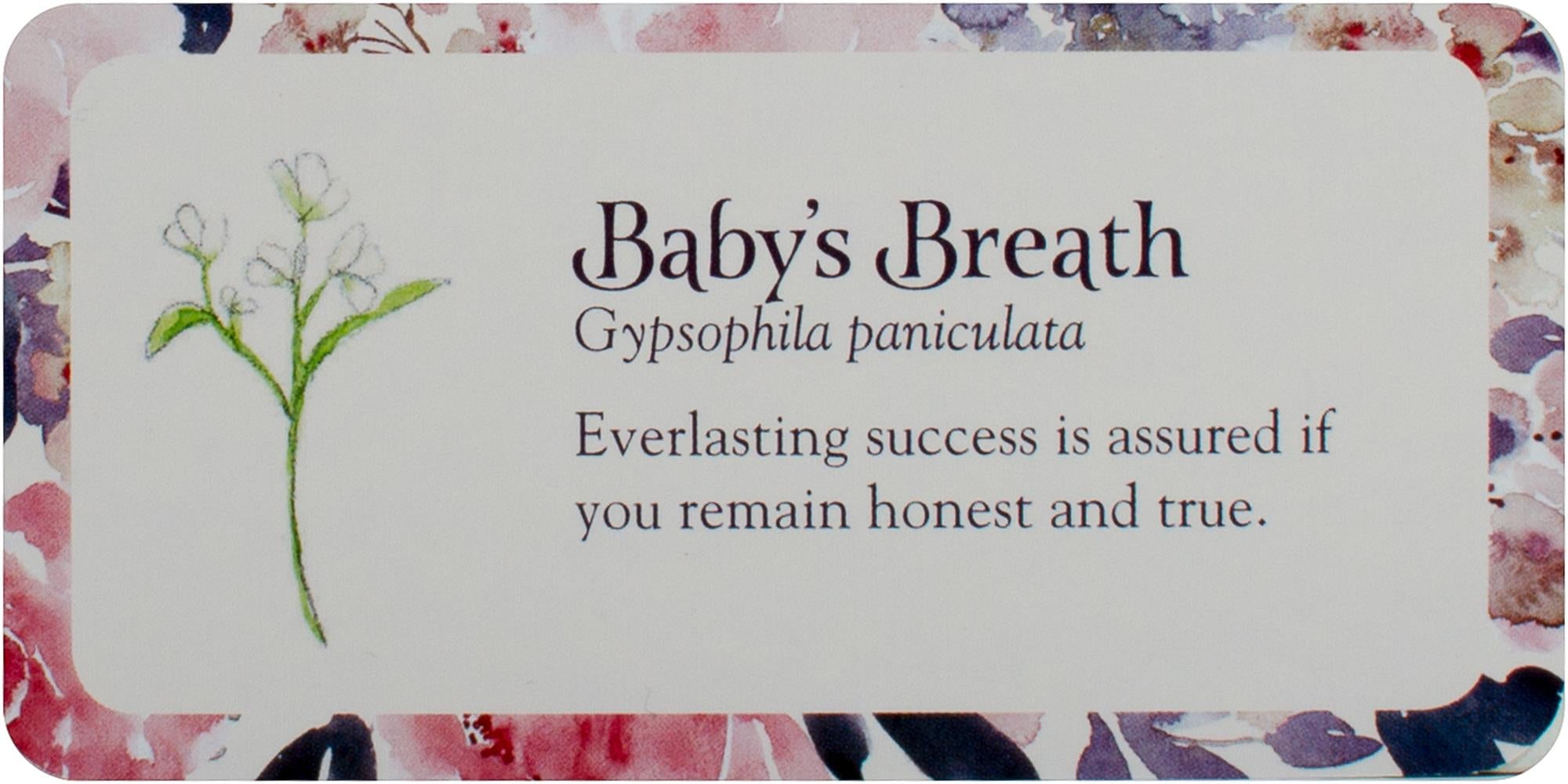 Flower Petals Mini Inspiration Cards : Blossoming Guidance From the Garden