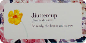 Flower Petals Mini Inspiration Cards : Blossoming Guidance From the Garden