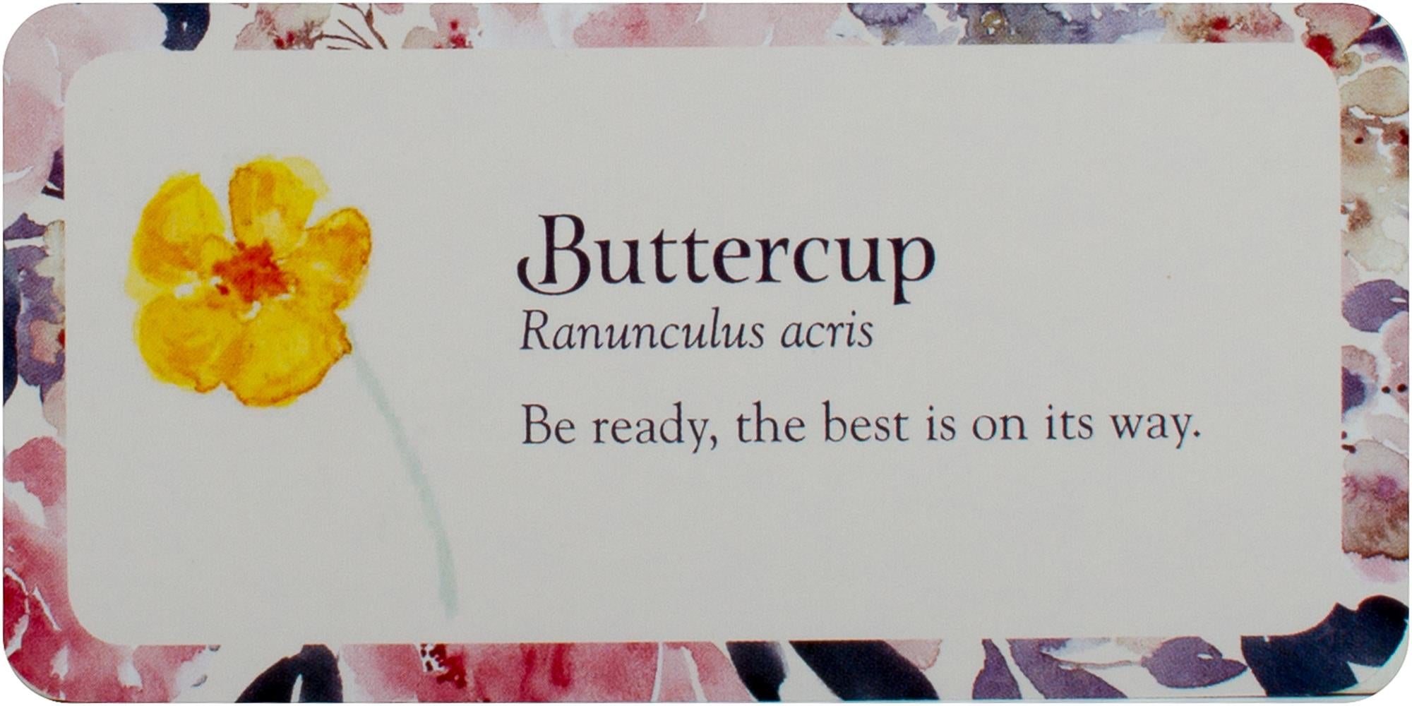 Flower Petals Mini Inspiration Cards : Blossoming Guidance From the Garden