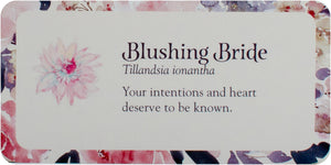Flower Petals Mini Inspiration Cards : Blossoming Guidance From the Garden