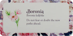 Flower Petals Mini Inspiration Cards : Blossoming Guidance From the Garden