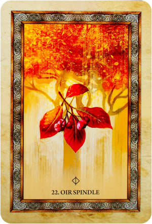 Celtic Tree Oracle