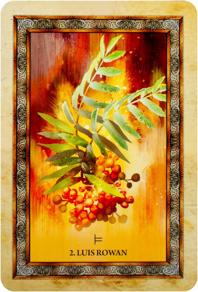 Celtic Tree Oracle