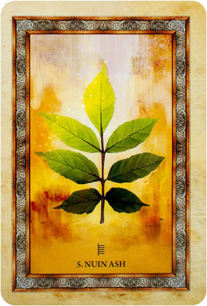 Celtic Tree Oracle