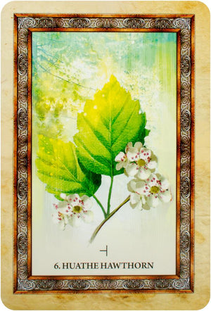 Celtic Tree Oracle