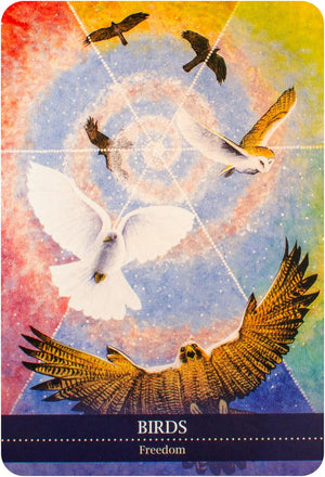 Shamanic Medicine Oracle Cards