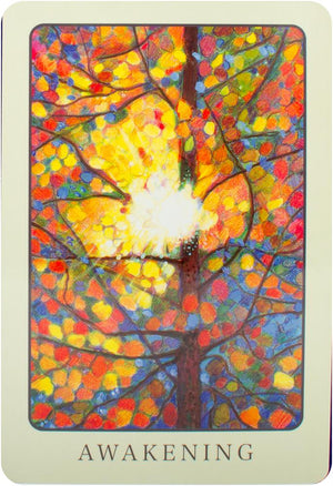 Peace oracle