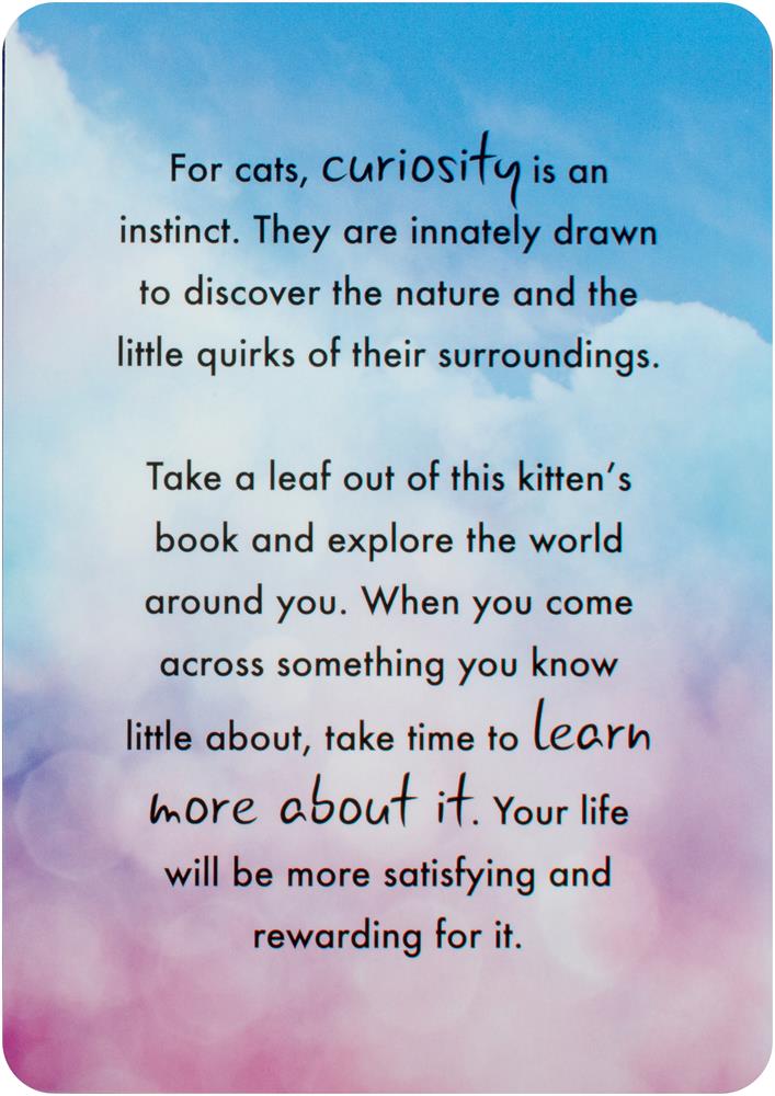 Cat Wisdom Cards New Edition : 45 Cards to Brighten Your Day