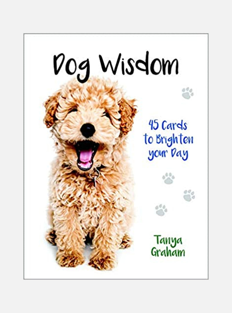 Dog Wisdom Cards New Edition