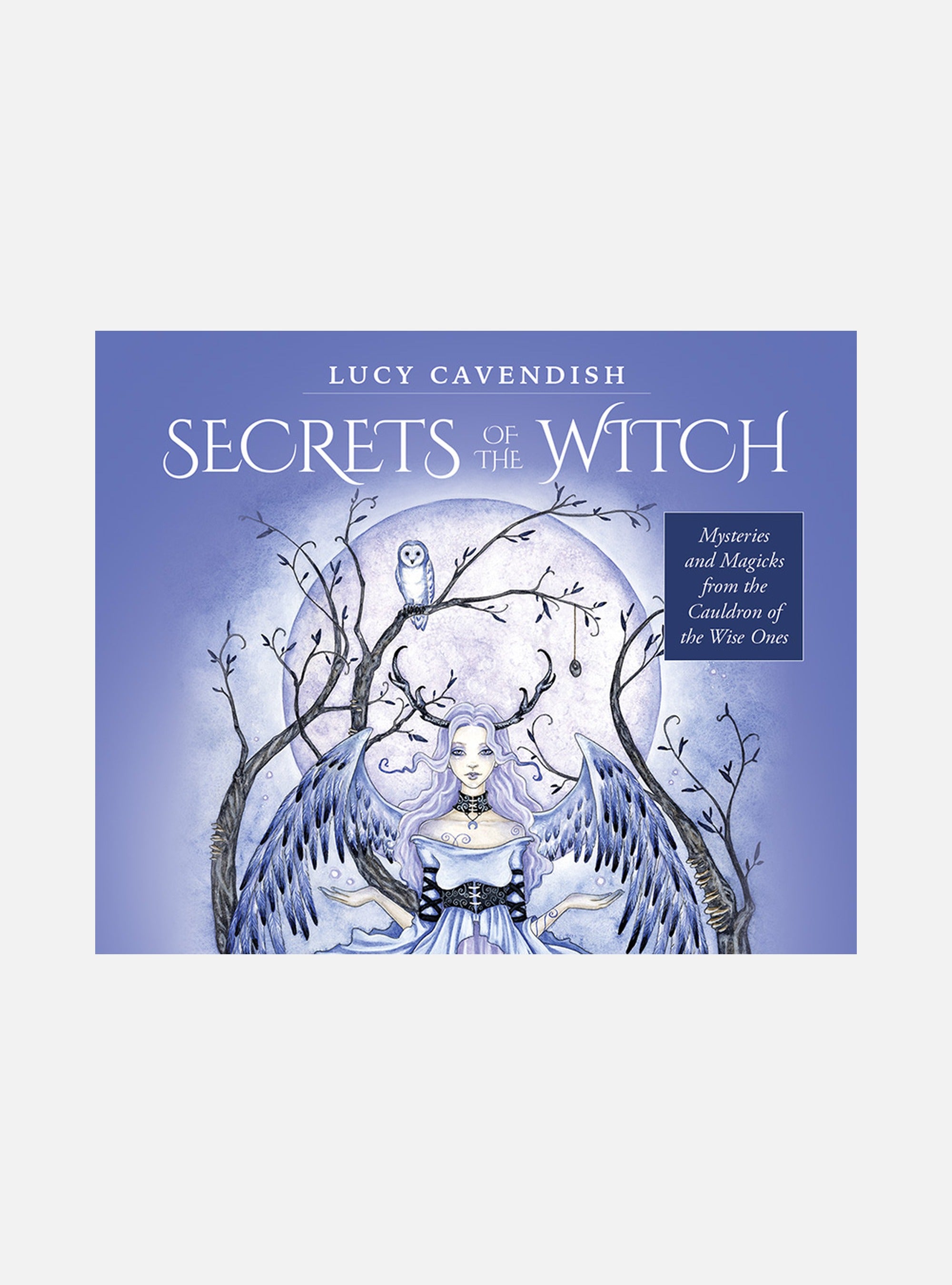 Secrets of the Witch : mini oracle cards