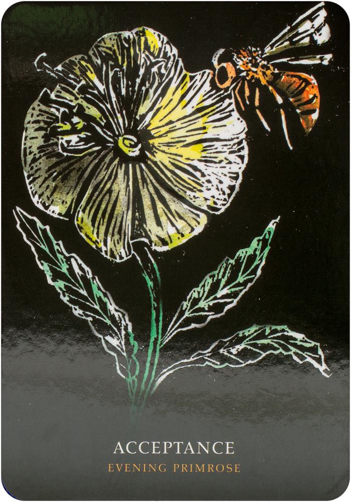 Flowers Of The Night Oracle