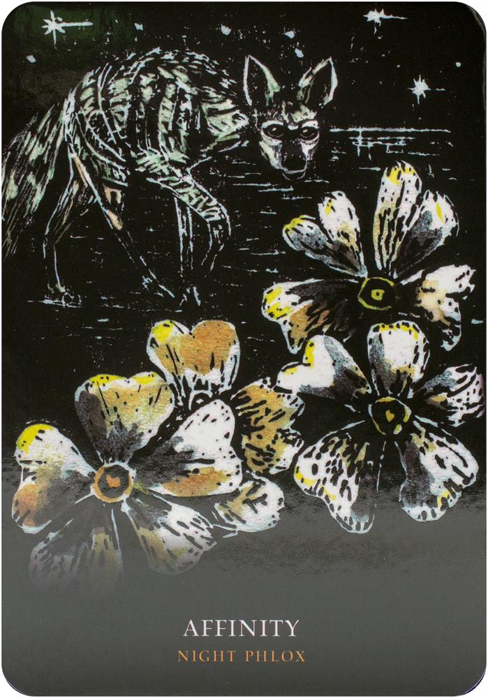 Flowers Of The Night Oracle