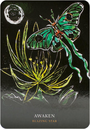 Flowers Of The Night Oracle