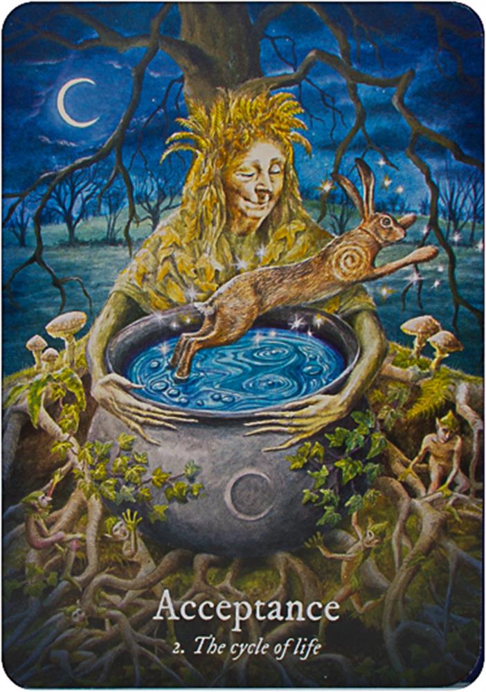 Goddess Dream Oracle: (Book & Cards)