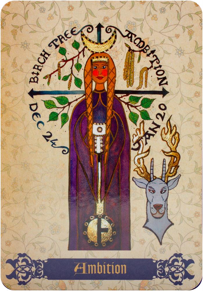 Enchanted Spell Oracle : Medieval Hedgewitch Magick