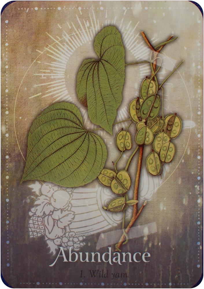 Magickal Herb Oracle : Secret Nature Magick