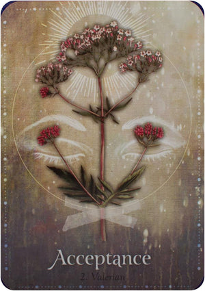 Magickal Herb Oracle : Secret Nature Magick