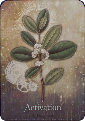 Magickal Herb Oracle : Secret Nature Magick