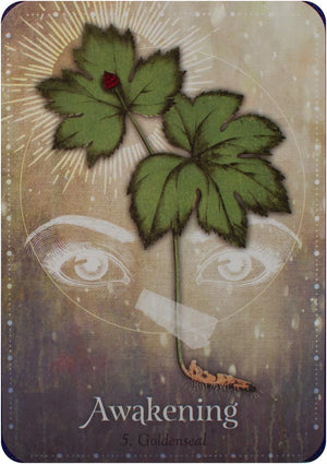 Magickal Herb Oracle : Secret Nature Magick
