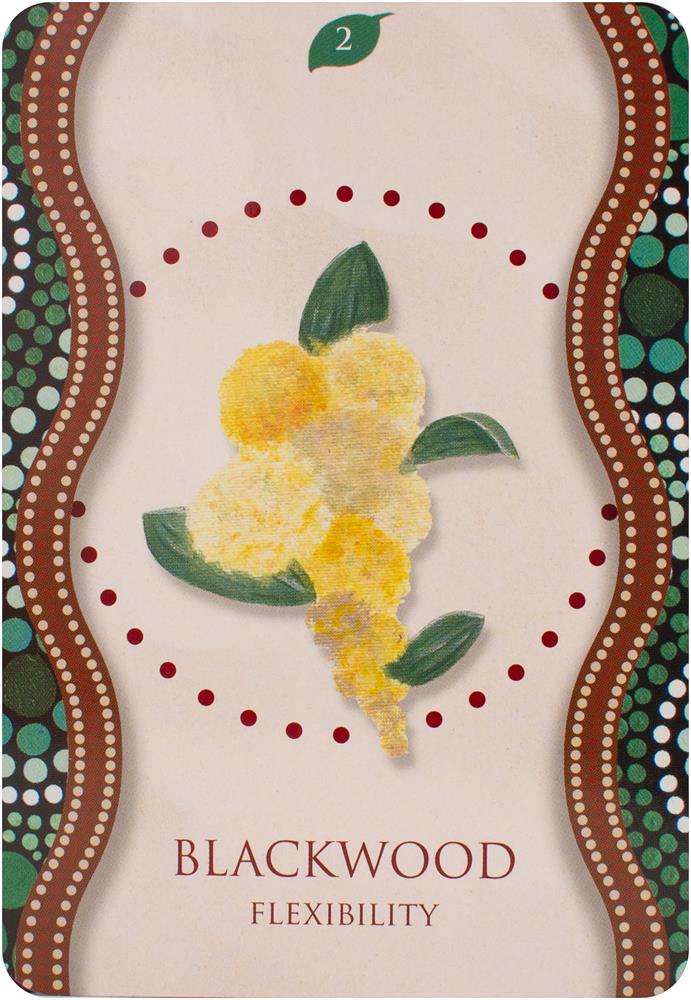 Aboriginal Healing Oracle