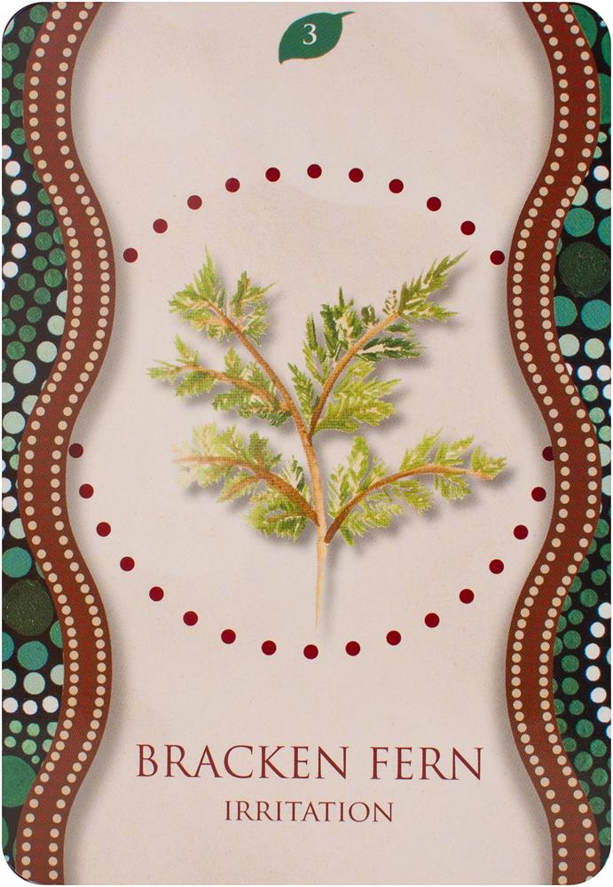 Aboriginal Healing Oracle