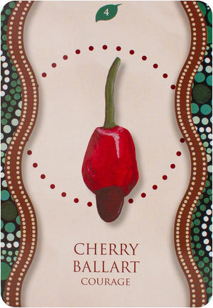 Aboriginal Healing Oracle