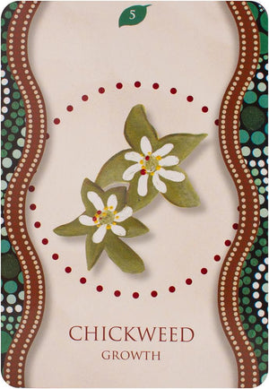 Aboriginal Healing Oracle