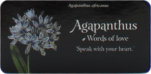 Language Of Flowers - Mini Inspiration Cards