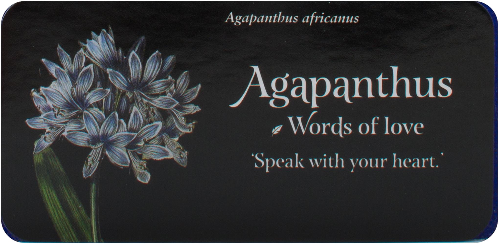 Language Of Flowers - Mini Inspiration Cards