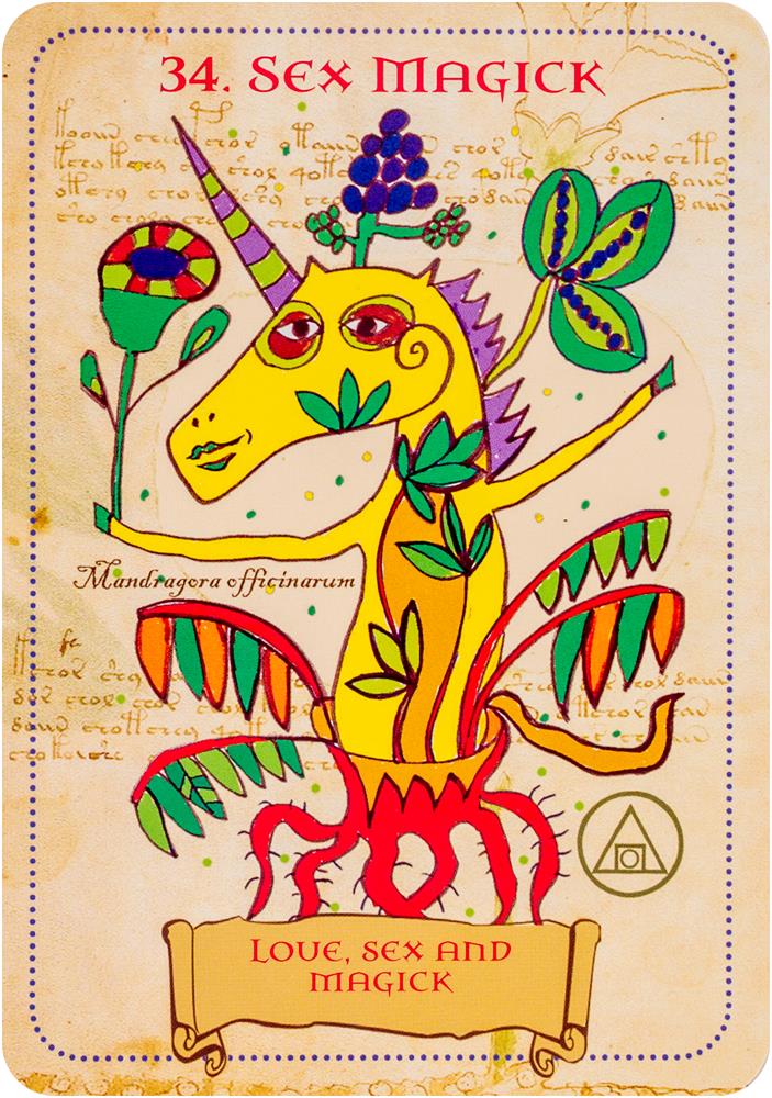Enchanted Unicorn Oracle