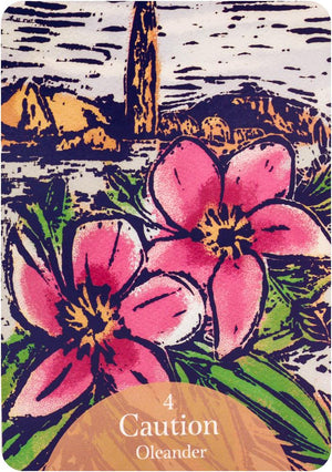 Language Of Flowers Oracle