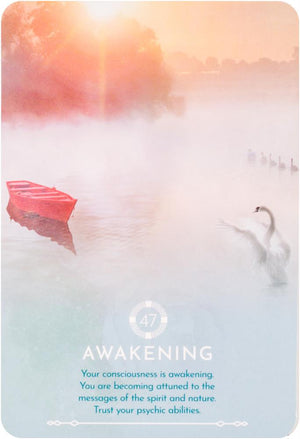 Dream Reading Cards