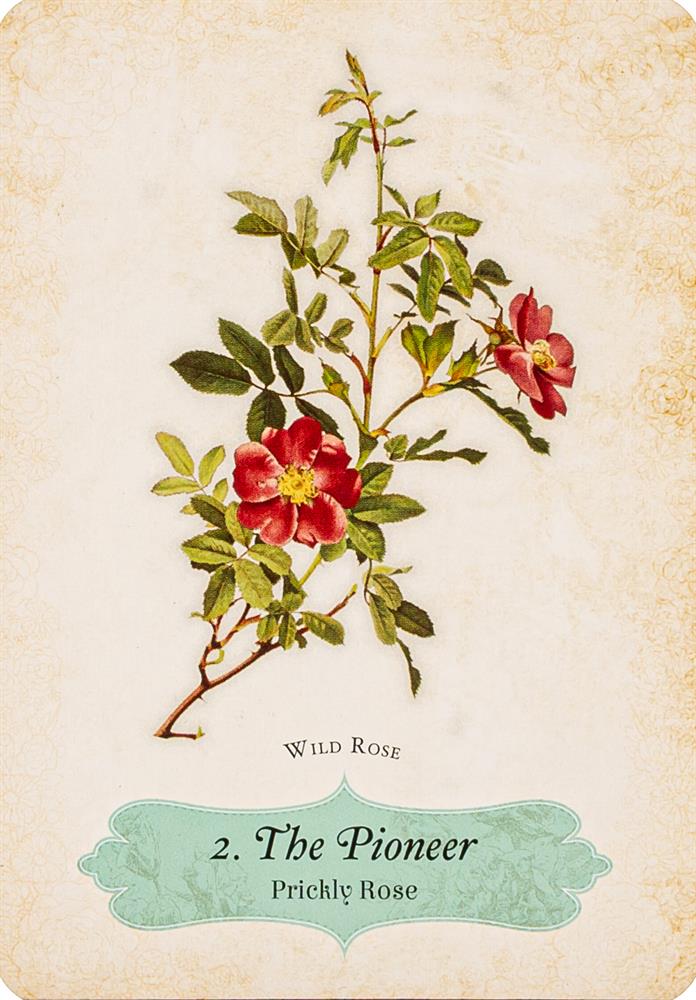 Oracle Of The Roses