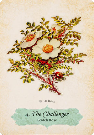 Oracle Of The Roses