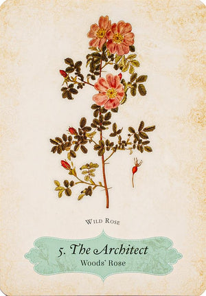 Oracle Of The Roses