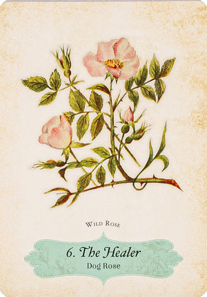 Oracle Of The Roses